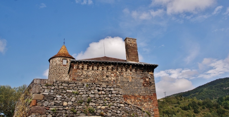 Le Château - Saint-Didier-d'Allier