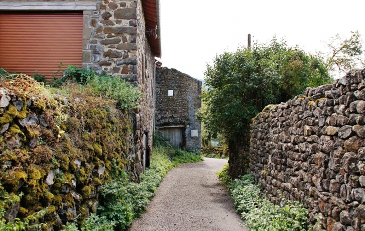 Le Château - Saint-Didier-d'Allier