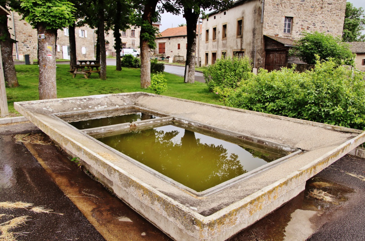 Lavoir - Saint-Jeures