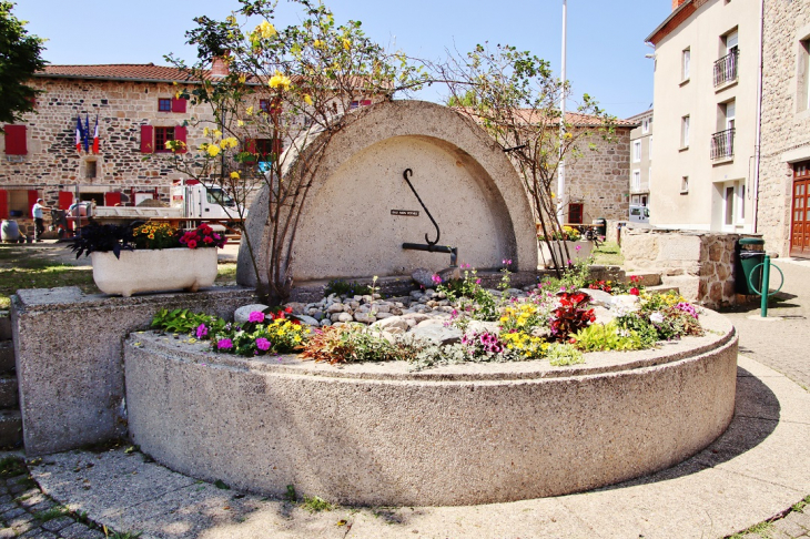 Fontaine - Saint-Maurice-de-Lignon