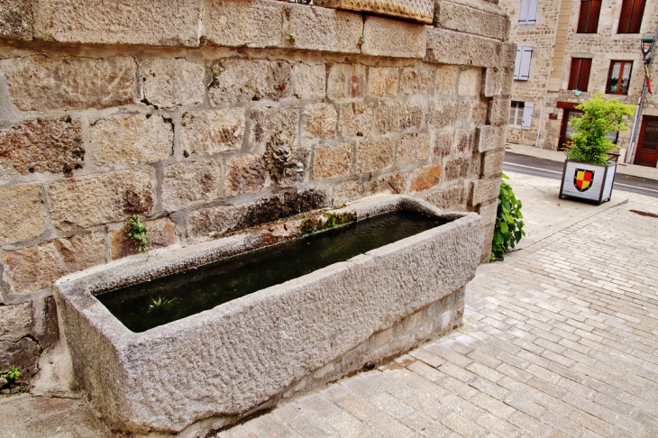 Fontaine - Saint-Pal-de-Chalencon