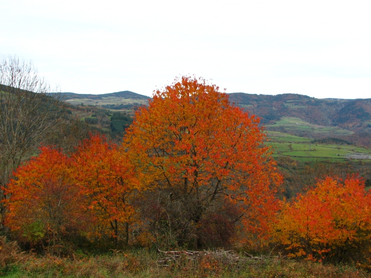 Couleurs d'automne - Saugues