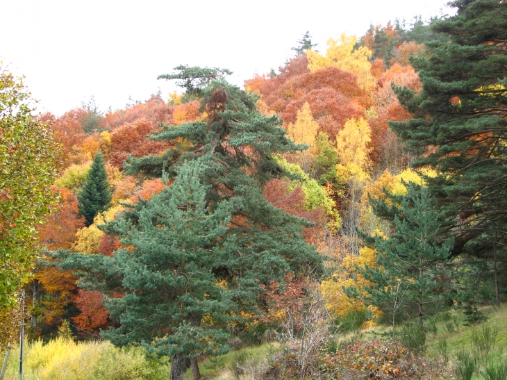 Couleurs d'automne - Saugues