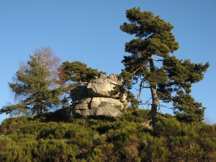 Une belle roche du côté de Bugeac - Saugues