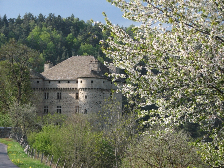 Château du fort. (entre Verreyrolles et Chambon le Château) - Saugues