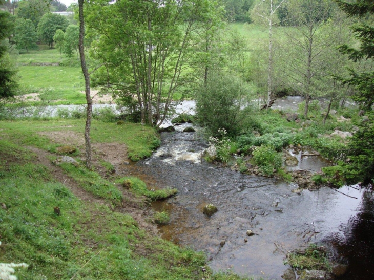 Tence (43190) le Trifoulou affluent dans le le Lignon au lieu-dit La Papeterie