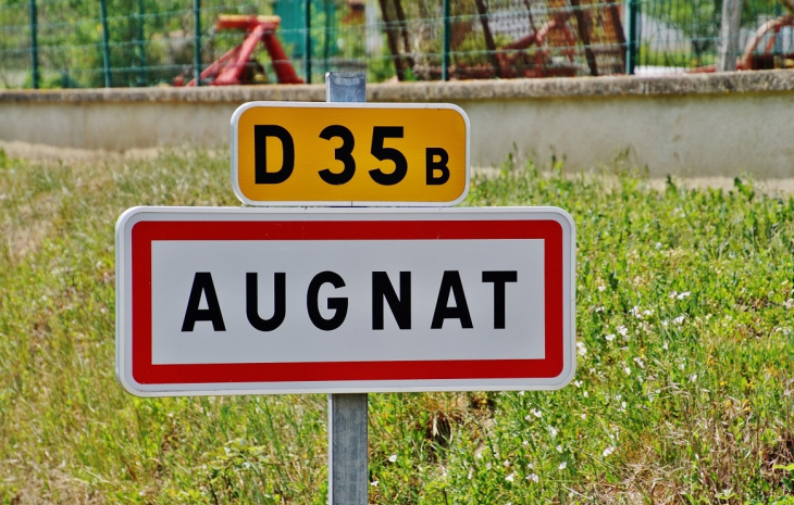  - Augnat