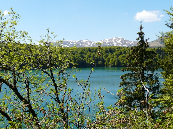 Le lac Pavin - Besse-et-Saint-Anastaise