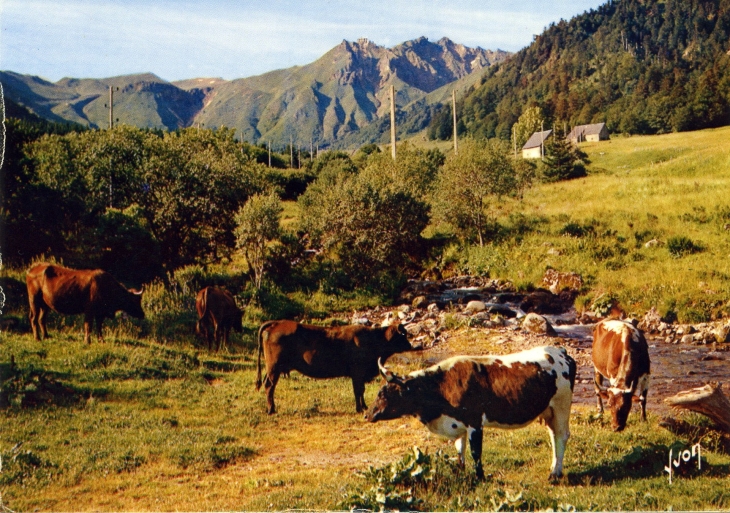 Le Puy-de-Dôme 1886m. Le plus élevé du Massif Central (carte postale de 1970) - Besse-et-Saint-Anastaise