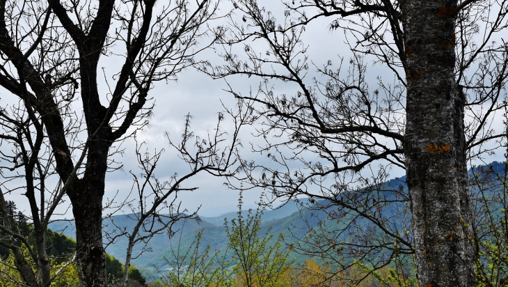 Panorama - Besse-et-Saint-Anastaise