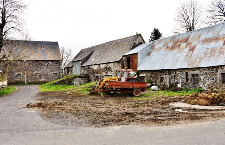 Ferme du Village - Besse-et-Saint-Anastaise