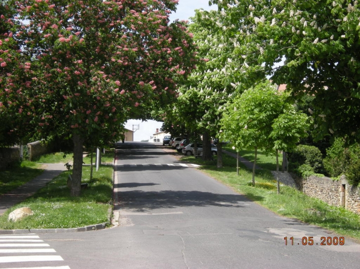 ALLEE DES MARONNIERS - Billom