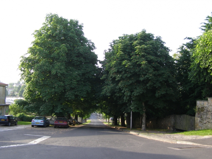 Allee des Marronier - Billom