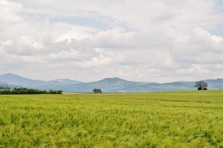 Panorama - Chadeleuf