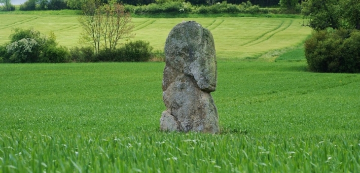 Menhir de la Pierre-Fichade. - Champeix