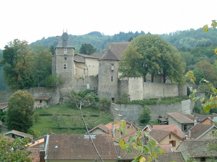 Le château - Châteldon