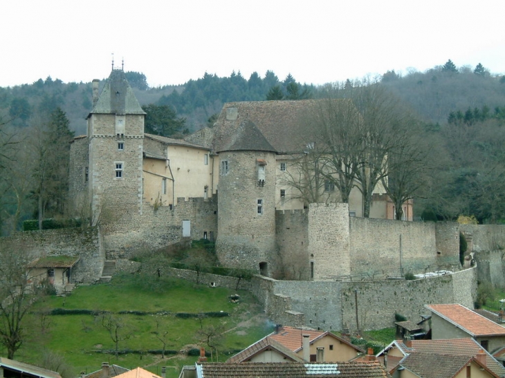 Le château - Châteldon