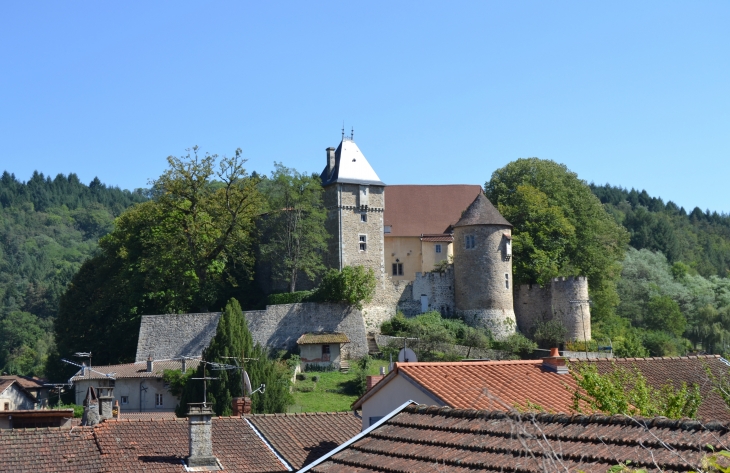 Château de Chateldon ( 12 Em Siècle ) - Châteldon