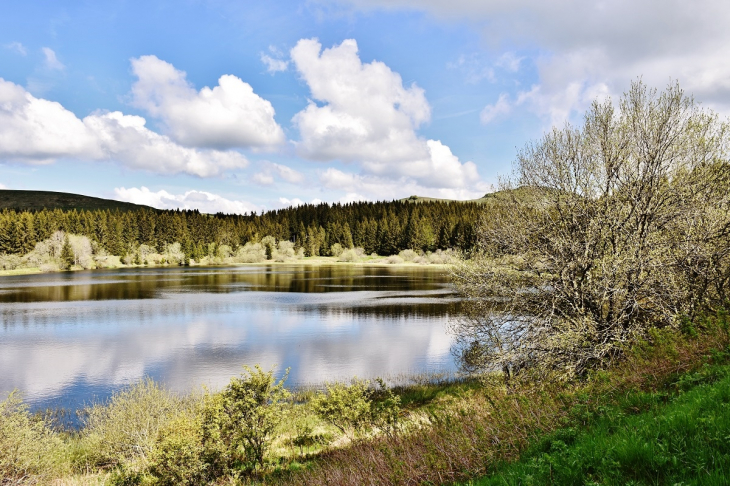 Le lac - Espinchal