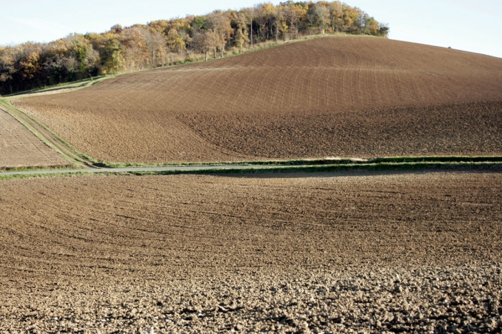 Paysage autour de Glaine - Glaine-Montaigut