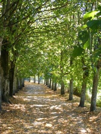 La promenade des murs - Herment