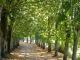 la promenade des murs