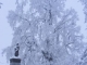 Photo précédente de Herment arbre de Sully