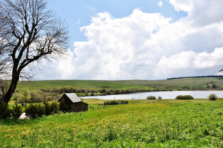 Le lac - La Godivelle