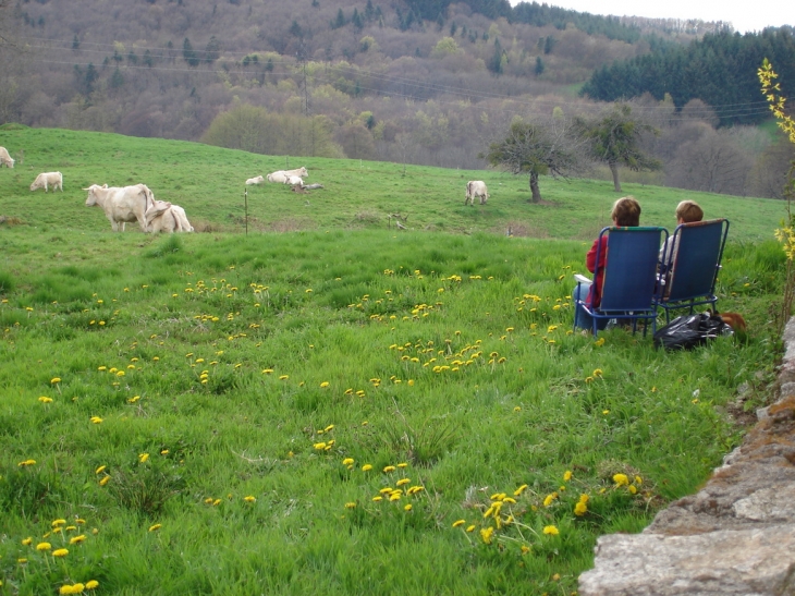 La vie tranquille - Lachaux