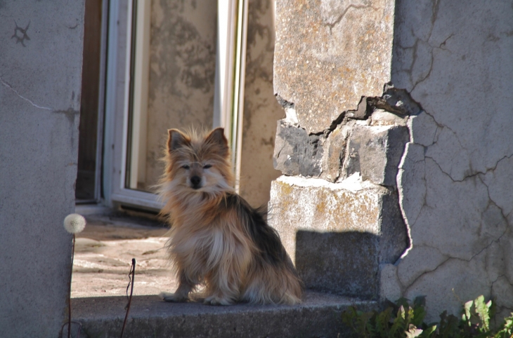 Rencontre - Le Vernet-Sainte-Marguerite