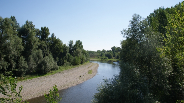 L'Allier ( Rivière a Saumons ) - Limons