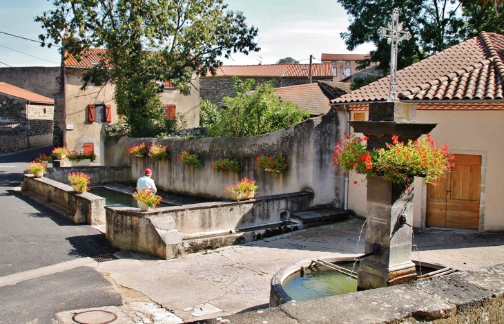 La Fontaine et Le Lavoir - Mareugheol