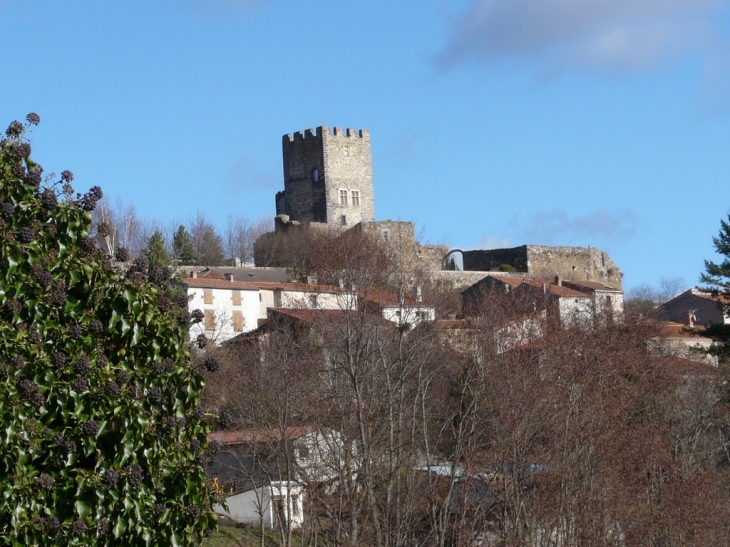 028 Montaigut 17-01-10 - Montaigut-le-Blanc