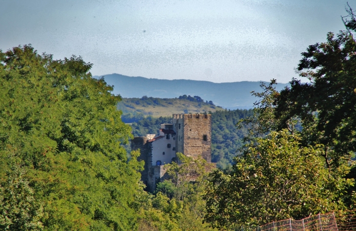  Château de Montaigut-le-Blanc