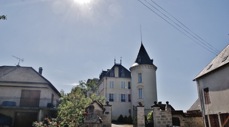 Château - Montel-de-Gelat