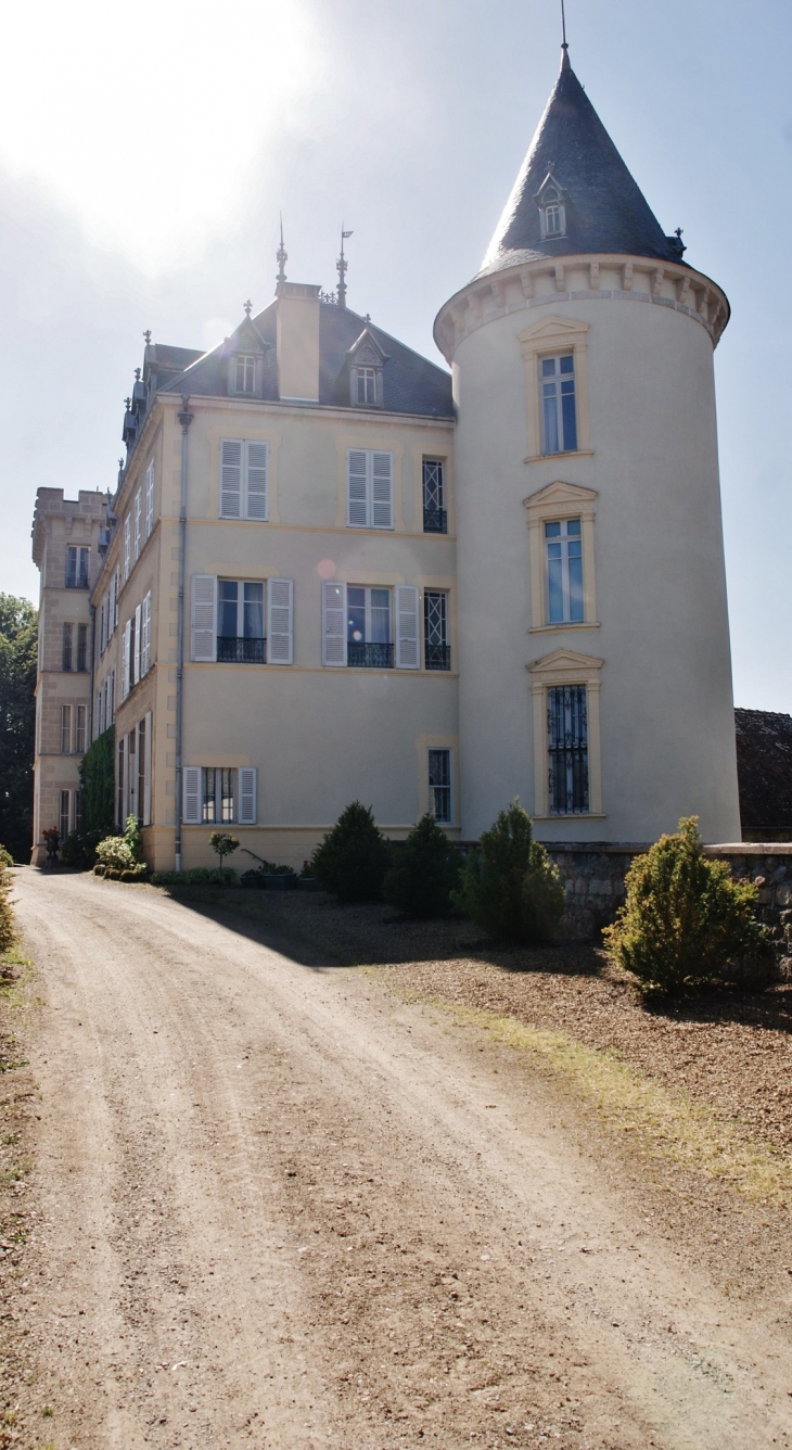 Château - Montel-de-Gelat