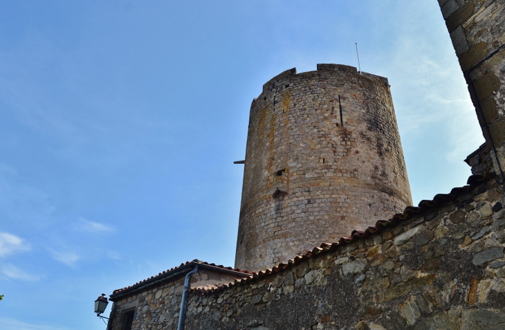 .Le Donjon  - Montpeyroux