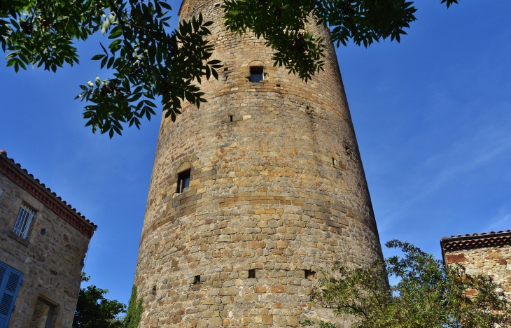 .Le Donjon  - Montpeyroux