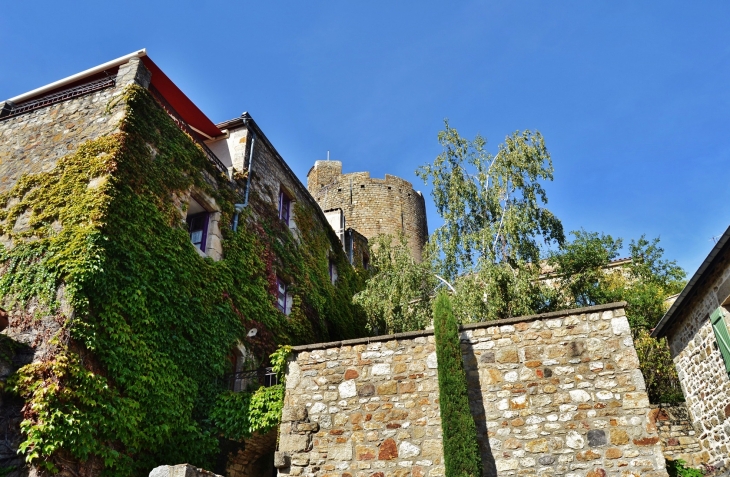 .Le Donjon  - Montpeyroux