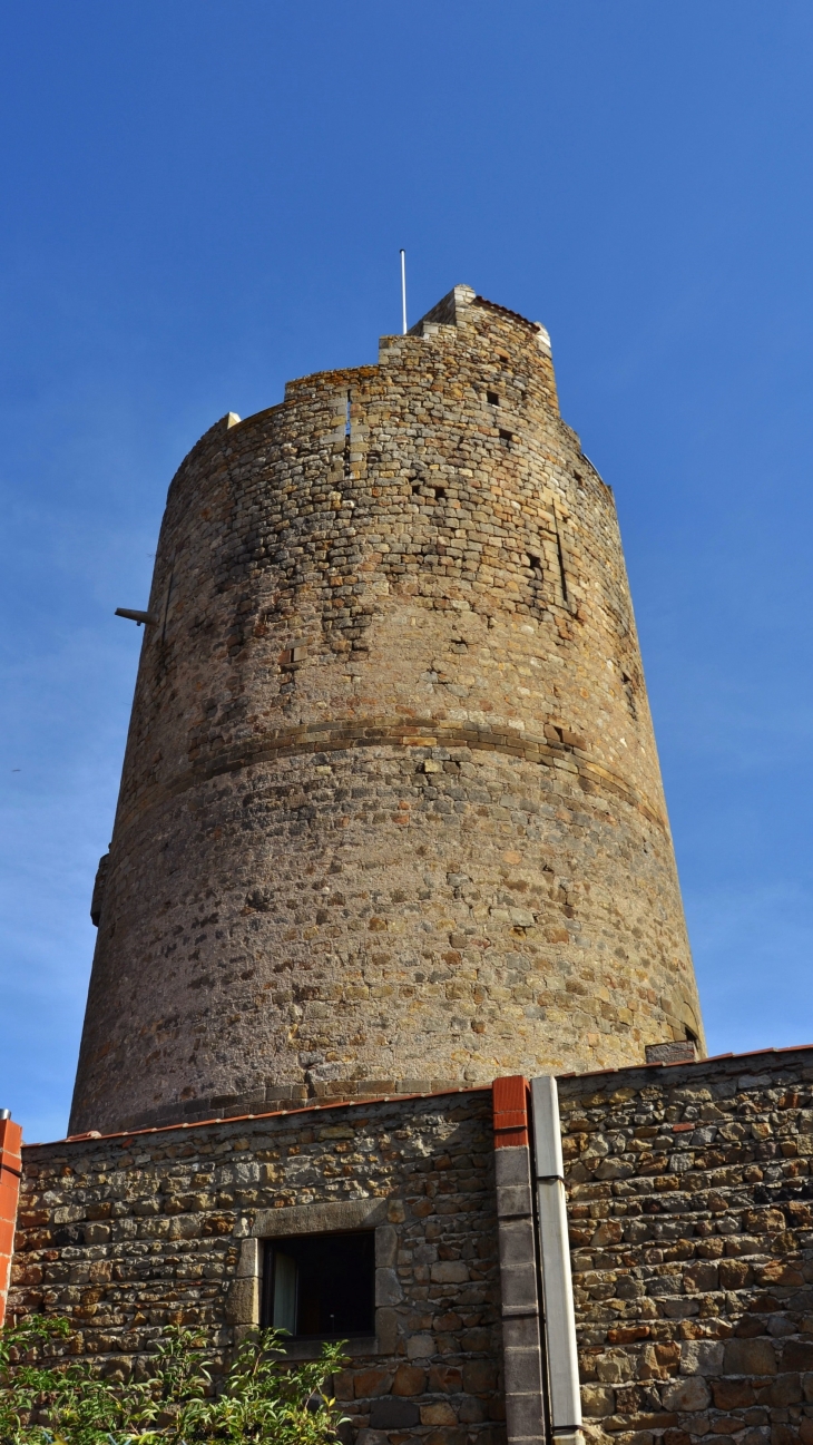 .Le Donjon  - Montpeyroux