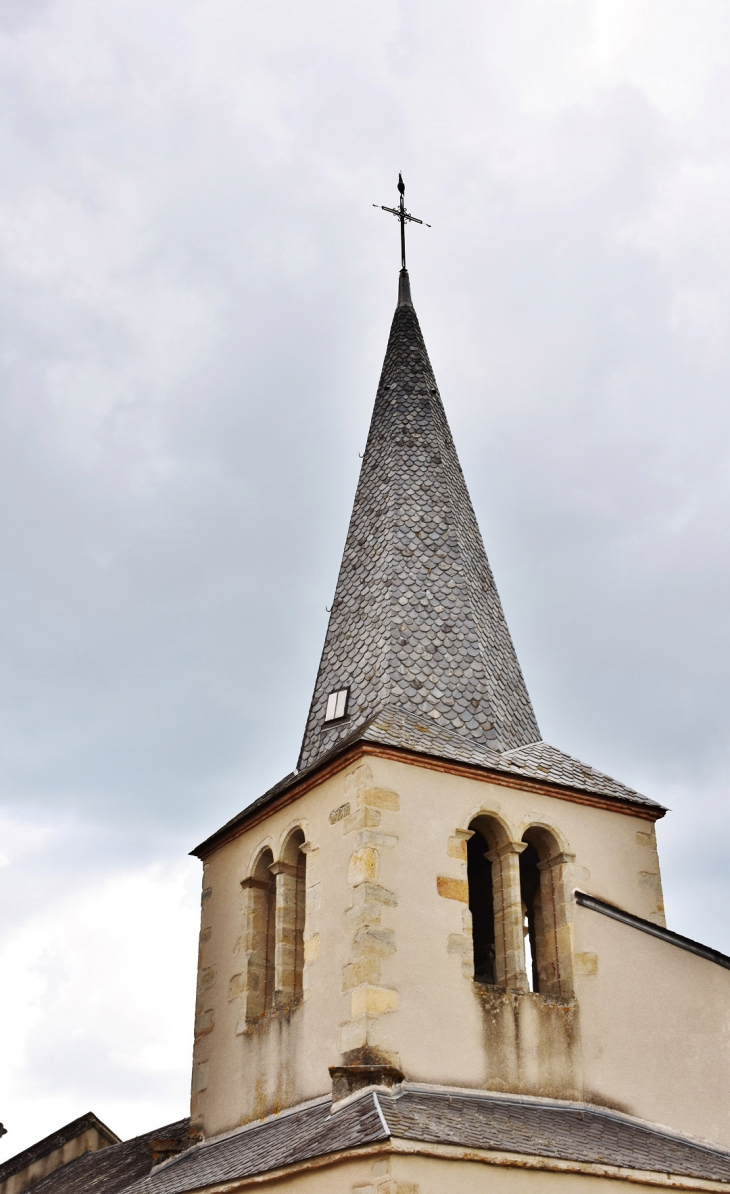 église de la nativité de la Sainte-Vierge - Orbeil