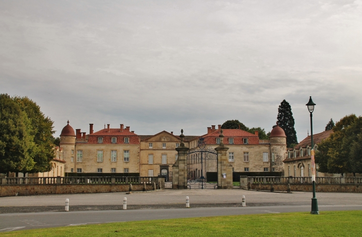 Le Château - Parentignat