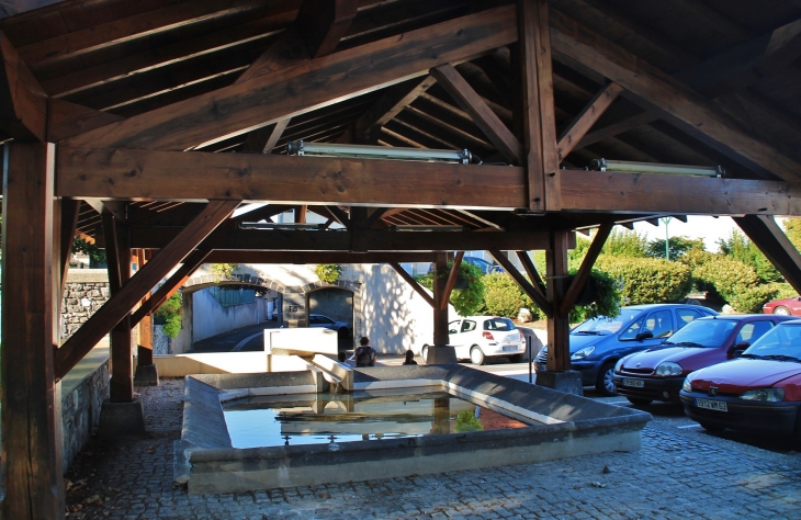 Lavoir - Pérignat-lès-Sarliève