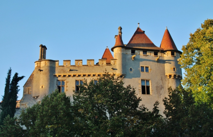 Le Château - Saint-Amant-Tallende