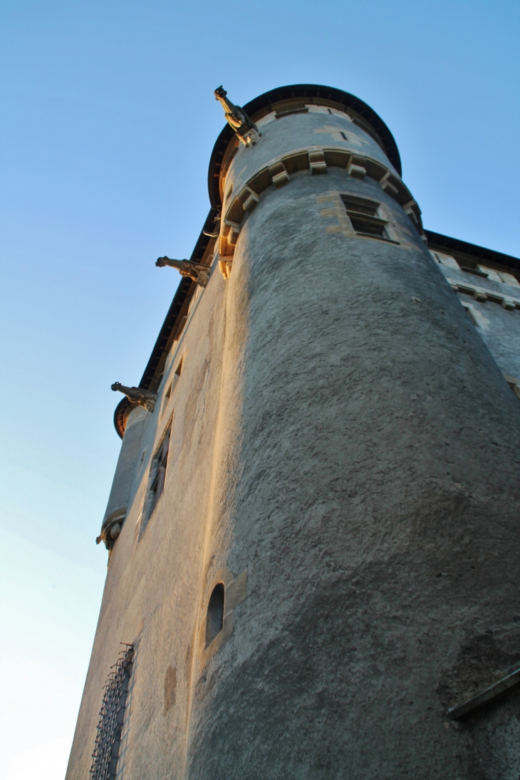 Le Château - Saint-Amant-Tallende