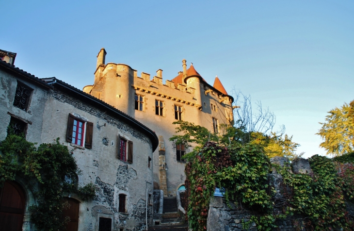 Le Château - Saint-Amant-Tallende