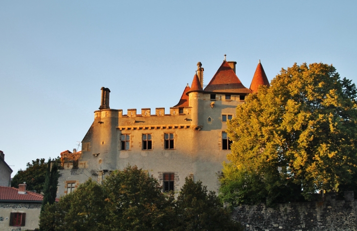 Le Château - Saint-Amant-Tallende