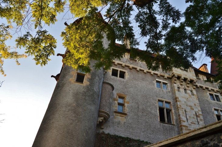 Le Château - Saint-Amant-Tallende