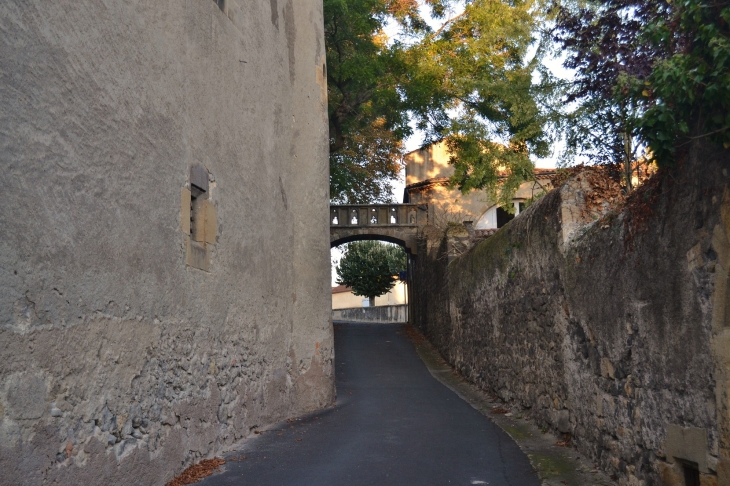 Le Château - Saint-Amant-Tallende