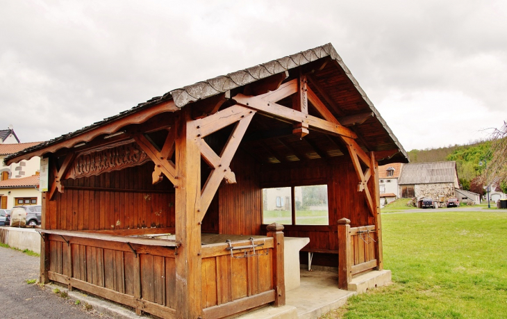 Le Lavoir - Saint-Diéry